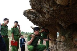 Thủ tướng: Khẩn trương kết luận giám định vụ hư hỏng cầu sông Lô trong tháng 2/2026