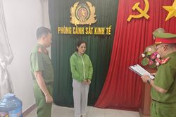 Khởi tố nữ giám đốc doanh nghiệp ở Đắk Lắk mua khống hơn 500 hóa đơn để trục lợi tiền thuế