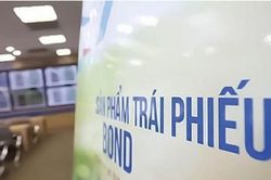 Tập đoàn Đầu tư I.P.A (IPA) với vòng quay lô trái phiếu 608 tỷ đồng trong 2 tháng, dòng vốn qua nhiều pháp nhân đổ vào dự án Sunbay Park như thế nào?