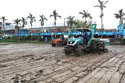 Triển khai mô hình canh tác lúa hiệu quả cao, phát thải thấp tại Ninh Bình