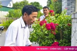 Sôi nổi lao động, sản xuất, quyết tâm đưa Nghị quyết Đại hội Đảng vào cuộc sống