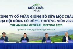 Công ty Cổ phần Giống Bò sữa Mộc Châu (MCM) tồn đọng hơn 633 tỷ đồng vốn huy động sau 5 năm, lợi nhuận 2025 chỉ đạt 72,8% kế hoạch