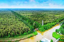 Cần Thơ kiện toàn quản lý khu du lịch Lung Ngọc Hoàng