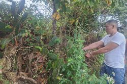 Thanh niên khống chế người phụ nữ rồi cướp vàng trong ngày vía thần tài