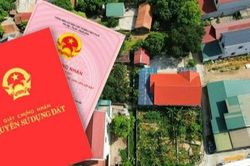 Đường dây nóng tiếp nhận, xử lý thông tin vi phạm quản lý và sử dụng đất đai