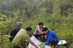 Giá trị xanh từ rừng