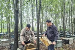 Đưa sản phẩm OCOP vươn ra thị trường