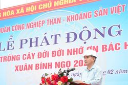 TKV phát động 'Tết trồng cây đời đời nhớ ơn Bác Hồ' Xuân Bính Ngọ 2026