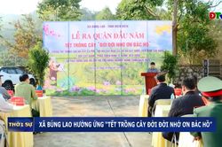 Xã Búng Lao hưởng ứng 'Tết trồng cây đời đời nhớ ơn Bác Hồ'