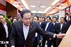 Tuyên truyền về bầu cử: Phản bác thông tin sai lệch trên không gian mạng