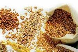 Giá đậu tương lập đỉnh 3 tháng tại 11,65 USD/bushel nhờ kỳ vọng nhu cầu từ Trung Quốc