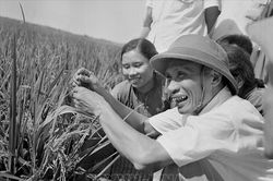 Thủ tướng Phạm Văn Đồng - Tầm vóc lớn của người trọn đời phụng sự Tổ quốc
