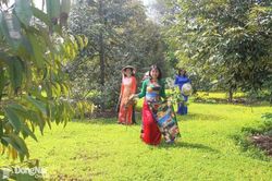 Về vườn trốn nắng