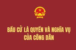 Bầu cử là quyền và nghĩa vụ của công dân