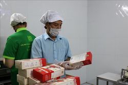 Nâng giá trị khoai mài từ chế biến sâu
