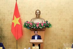 Thủ tướng Phạm Minh Chính chủ trì Phiên họp Chính phủ thường kỳ tháng 2