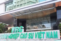 Tập đoàn Công nghiệp Cao su Việt Nam (GVR): Lợi nhuận quý IV/2025 giảm hơn 50%, hàng nghìn tỷ tài sản dở dang và nợ xấu bị thanh tra 'gọi tên'