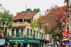 Tháng 3 về, Hà Nội khoác áo mới giữa mùa thay lá