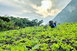 Thời tiết Nghệ An ngày 4/3: Sáng sớm và đêm có mưa nhỏ rải rác, trưa chiều trời nắng