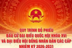 Quy trình bỏ phiếu bầu cử đại biểu Quốc hội và đại biểu HĐND các cấp
