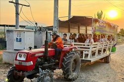 Lâm Đồng phát triển nhiều tour du lịch bằng đường bộ