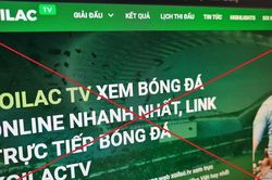 Khởi tố 30 đối tượng vụ 'Xôi Lạc TV' phát sóng lậu, tổ chức đánh bạc