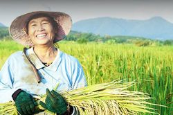 Agribank - Dòng vốn chủ lực đồng hành cùng nông nghiệp Việt Nam bước vào giai đoạn phát triển mới