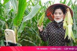 Từ ruộng đồng đến nền tảng số, phụ nữ Hà Tĩnh mạnh mẽ vươn lên