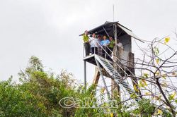 Chủ động bảo vệ rừng mùa khô