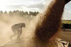 Gián đoạn tại eo biển Hormuz đe dọa an ninh lương thực Trung Đông