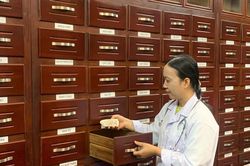 Kết hợp y học cổ truyền và hiện đại cho 16 bệnh phổ biến