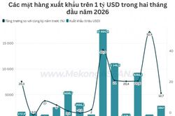 Việt Nam nhập siêu gần 3 tỷ USD trong hai tháng đầu năm 2026
