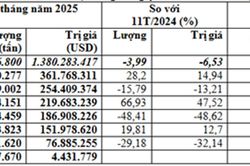 Nhập khẩu lúa mì 11 tháng năm 2025 giảm 4% về lượng, đạt 5,16 triệu tấn