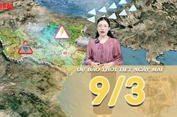 Dự báo thời tiết đêm nay và ngày mai 9/3/2026: Không khí lạnh gây mưa diện rộng ở Bắc Bộ, Nam Bộ nắng ráo