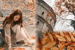 Hà Nội: Bốt Hàng Đậu mùa thay lá mà ngỡ như trời Âu