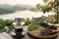 Giá cà phê hôm nay 8/3: Trong nước tăng nhẹ khi thị trường thế giới đi lên