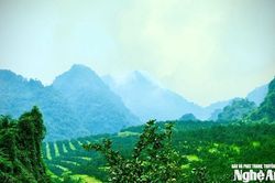 Thời tiết Nghệ An ngày 8/3: Trời chuyển rét, có mưa rào và dông rải rác