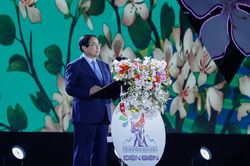 Sắc trắng tinh khôi của hoa ban tựa như khí chất của con người vùng cao Tây Bắc