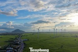 Đẹp lịm tim hoàng hôn ở cánh đồng điện gió
