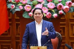 Sử dụng Quỹ bình ổn giá xăng dầu từ 10/3, đề xuất giảm thuế môi trường về 0%
