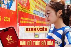 Sinh viên Đà Nẵng ứng dụng VNeID, chuyển điểm bầu cử chỉ qua vài nút 'chạm'