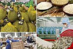 Vượt 'sóng' biến động toàn cầu, xuất khẩu nông lâm thủy sản 2 tháng đầu năm tăng trên 17%