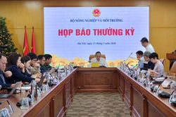 Dân vướng 'đất thổ cư', Bộ Nông nghiệp và Môi trường nói gì?