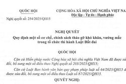 TOÀN VĂN: Nghị quyết 254/2025/QH15 quy định một số cơ chế, chính sách tháo gỡ khó khăn, vướng mắc trong tổ chức thi hành Luật Đất đai