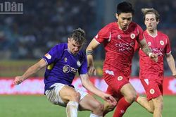 Lịch thi đấu vòng 16 V-League: Ninh Bình chạm trán Công an Hà Nội