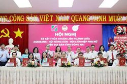 Tổ vay vốn – 'cánh tay nối dài' đưa tín dụng Agribank đến với nông dân
