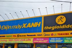 Đầu tư Điện Máy Xanh (DMX) chốt IPO 179,5 triệu cổ phiếu, dự chi tối đa 3.200 tỷ đồng cổ tức tiền mặt