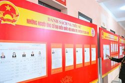 Ngày hội lựa chọn người 'Tài-Đức-Sức,' trao quyền gánh vác non sông