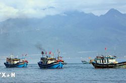 Hoàn thiện hành lang pháp lý bảo vệ nguồn lợi và phát triển ngành thủy sản