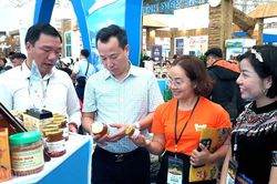 Lào Cai đẩy mạnh xúc tiến, hỗ trợ doanh nghiệp
